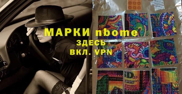 сатива Белокуриха