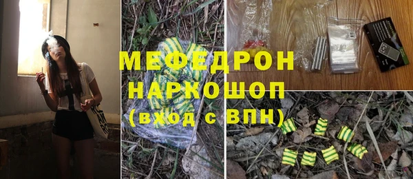 сатива Белокуриха