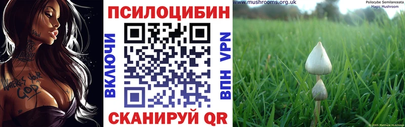 Псилоцибиновые грибы мицелий  Высоцк 